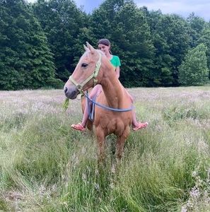 Meet your Posher, Joanne